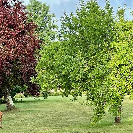 D'hotes Au Chateau De Gandillac Bed & Breakfast