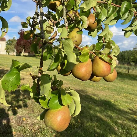 D'hotes Au Chateau De Gandillac Bed & Breakfast *