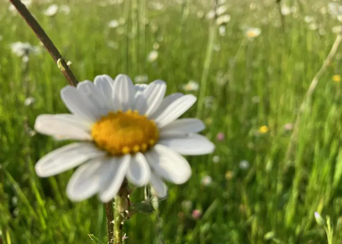 D'hotes Au Chateau De Gandillac * Saint-Martial-Viveyrol